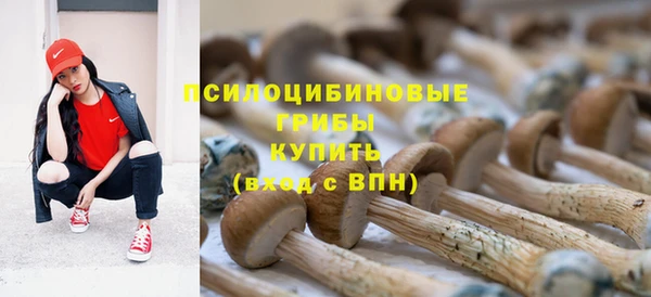 трава Абаза
