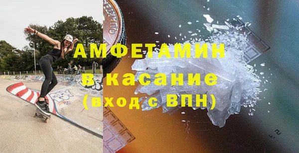 гидра Ельня