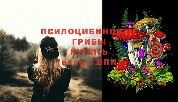 спайс Абинск