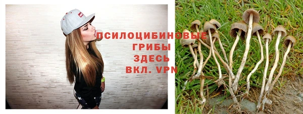 спайс Абинск