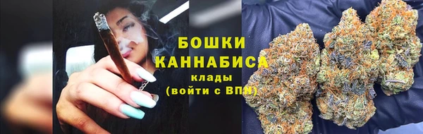 трава Абаза